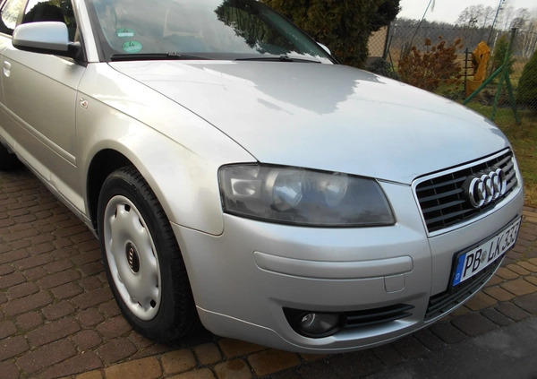 Audi A3 cena 11900 przebieg: 220000, rok produkcji 2004 z Kolbuszowa małe 407